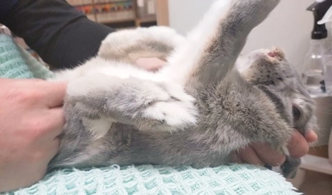 2025-04-16-17-20-38-759