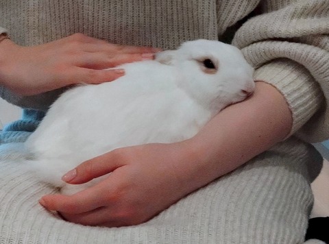 2025-04-16-17-27-04-087