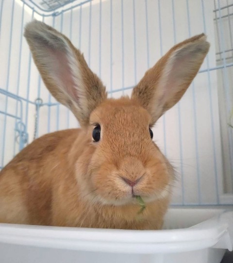 2025-05-08-00-04-39-321