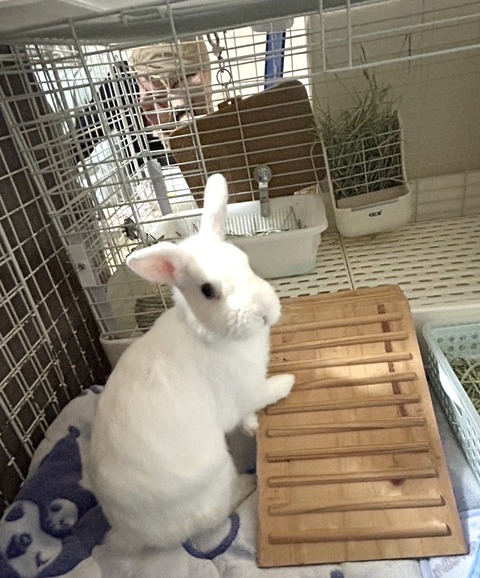 2025-02-03-00-10-13-653