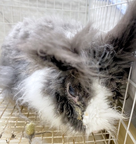 2024-10-02-16-10-28-572