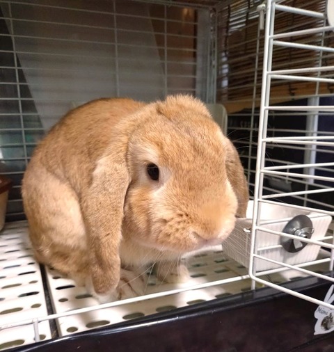 2024-07-27-17-30-26-127