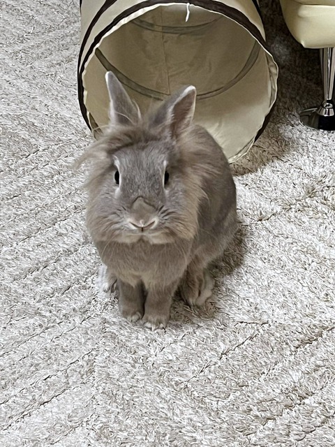 2025-02-03-00-24-29-161