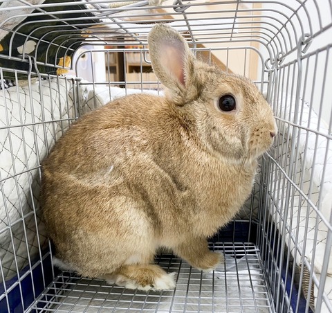 2024-10-02-16-06-17-458