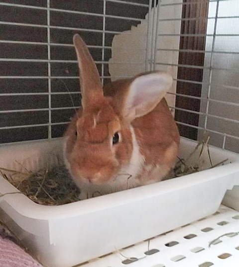 2025-12-06-01-23-12-885