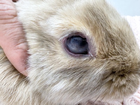 2025-03-11-16-41-09-562