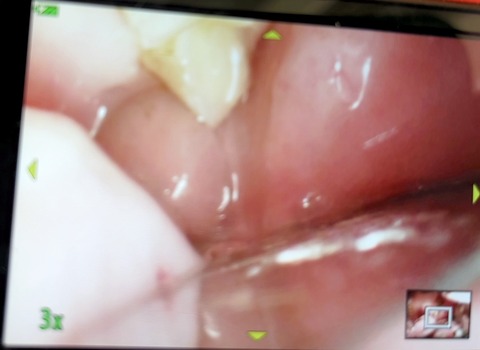 2025-05-08-00-32-57-819