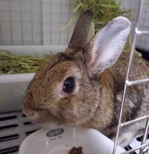 2025-12-06-01-07-06-369