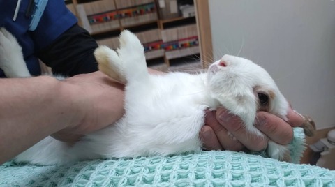 2025-05-08-00-35-18-595