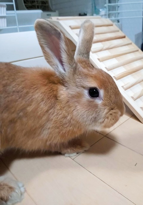 2025-05-08-00-04-01-723