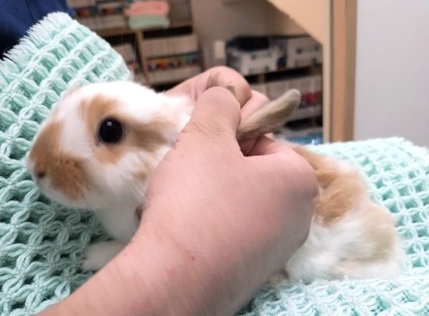 2025-05-08-00-16-08-623