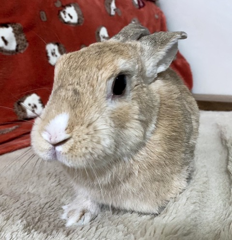 2025-05-08-00-16-58-422