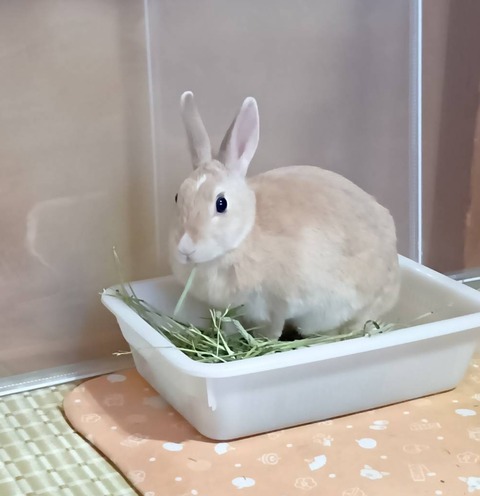 2025-12-06-01-23-50-687