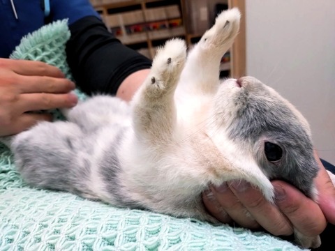 2024-07-27-17-27-10-500