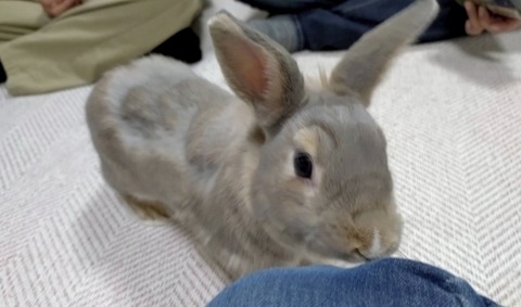 2024-07-27-17-33-19-355