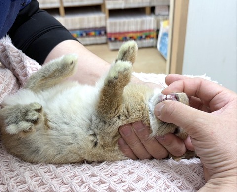 2025-05-08-00-26-43-842