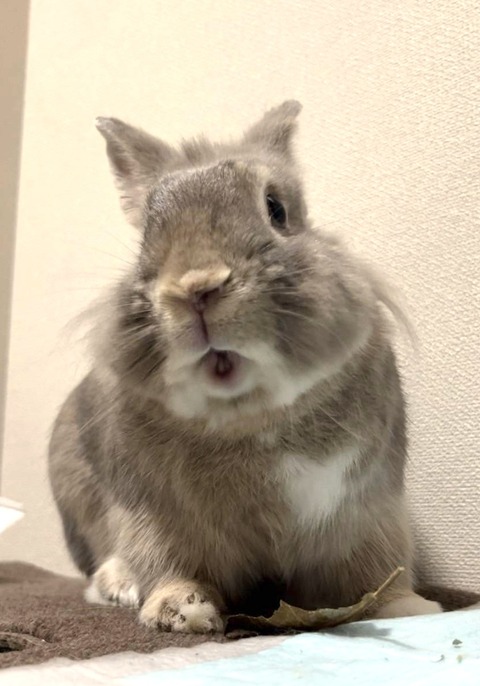 2024-08-02-16-58-27-361