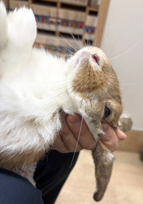 2025-12-06-01-08-11-989