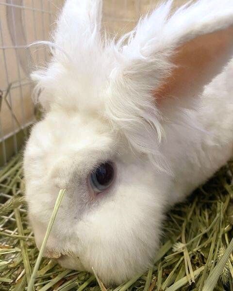 2025-02-03-00-28-58-968