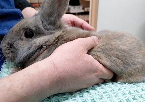 2025-04-16-17-09-47-770