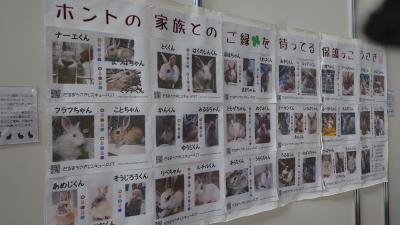 ペット王国202204