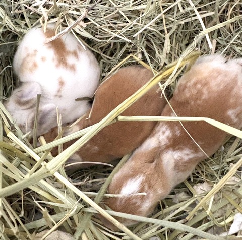 2025-03-11-16-29-11-974