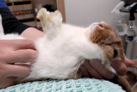 2025-05-07-23-54-31-474