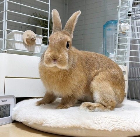 2025-05-08-02-02-02-147