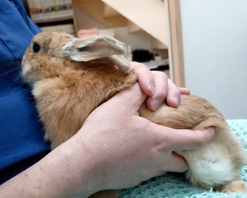 2025-04-16-17-29-26-035