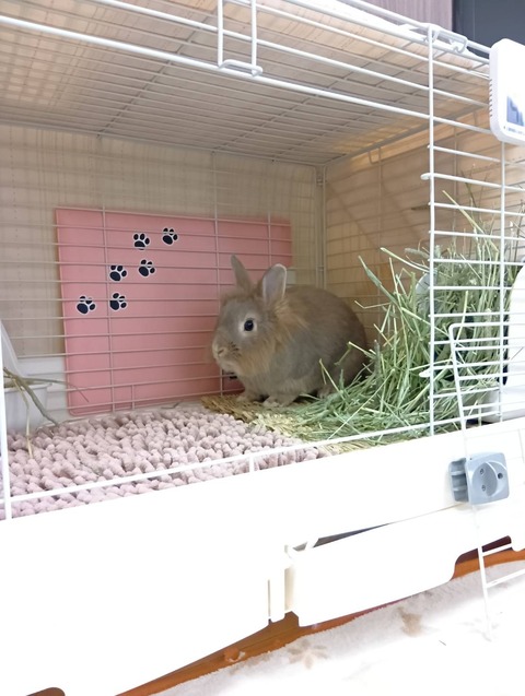 2025-02-03-00-21-21-541