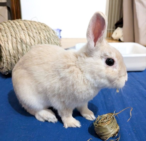 2025-03-11-16-23-22-033