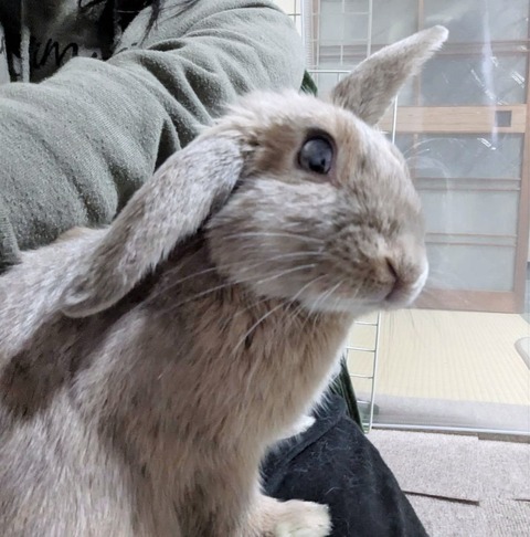 2025-05-08-18-15-54-485