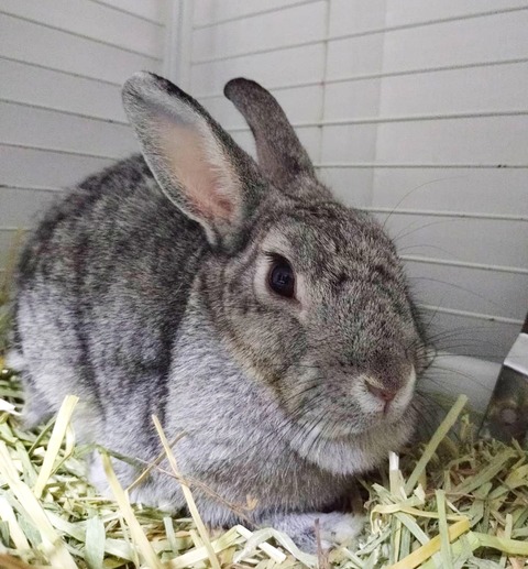 2025-12-06-20-22-25-481