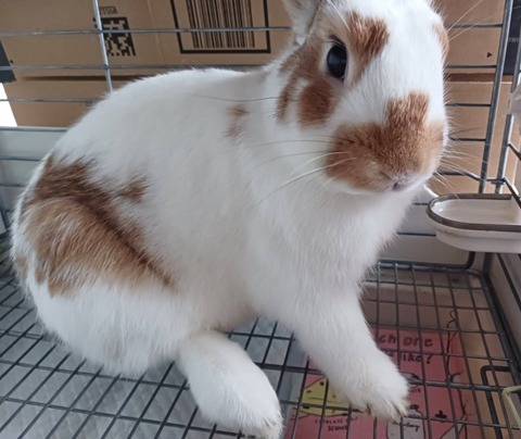 2025-12-06-01-01-23-971