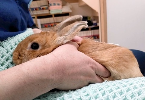 2025-05-07-23-57-11-557