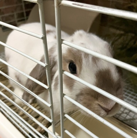 2025-12-06-01-00-31-047