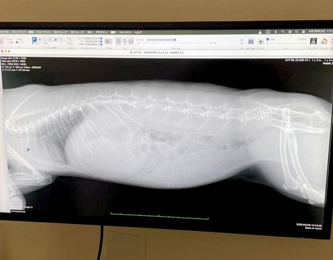 2025-05-08-00-46-28-868