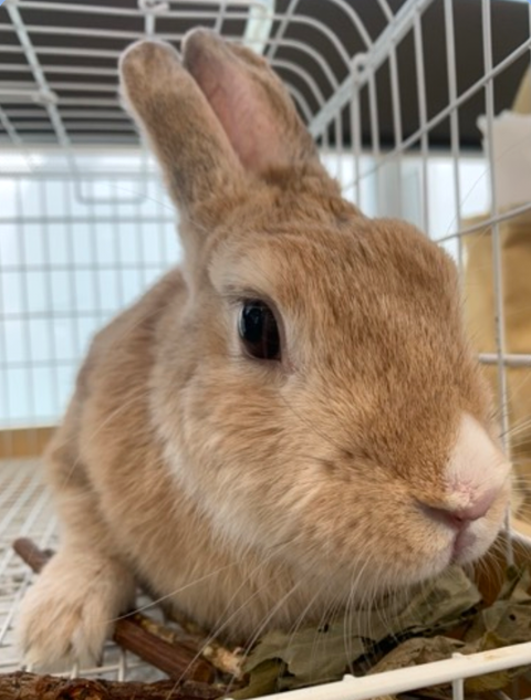 Screenshot_20260202-152214