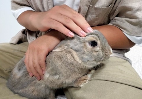 2024-07-27-17-32-17-162