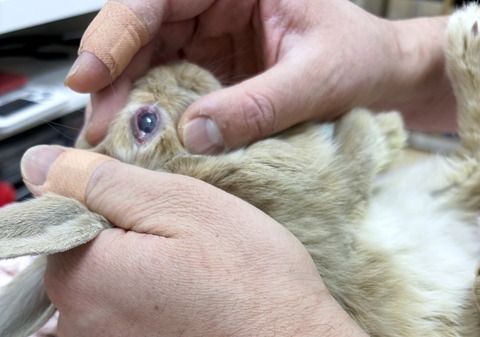 2025-03-11-16-40-34-181