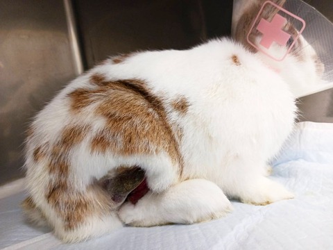 2025-12-06-01-06-24-070