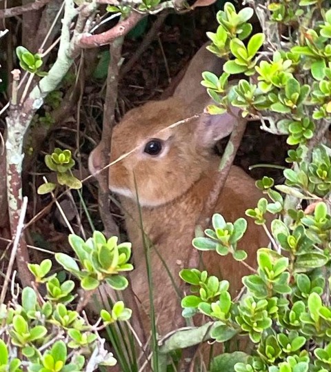 2025-11-03-20-28-14-745