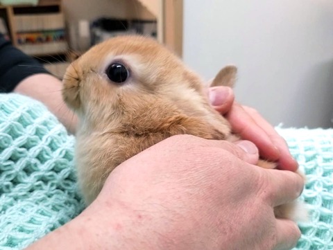 2025-05-08-00-11-55-601