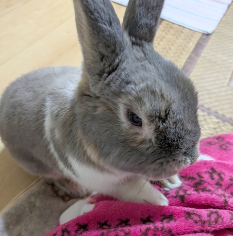 2025-12-06-01-25-51-239