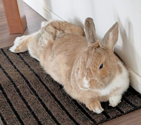 2025-05-08-00-45-01-353