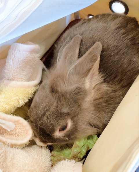 2025-02-03-01-09-11-205