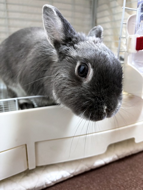 2025-02-03-00-12-57-283