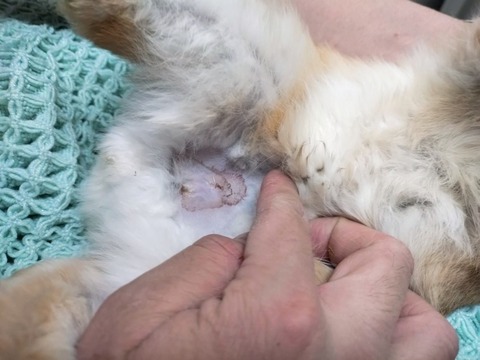 2025-05-07-23-55-21-919