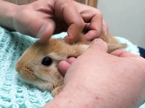 2025-05-08-00-12-34-183