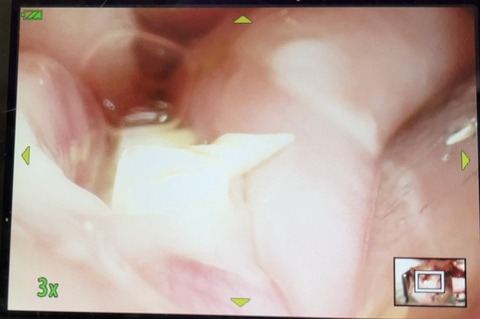 2025-05-08-00-34-00-647